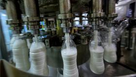 Россия почти на треть увеличила экспорт молочки в 2023 году